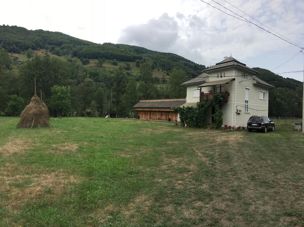 Casa Danut Vidra (Alba)